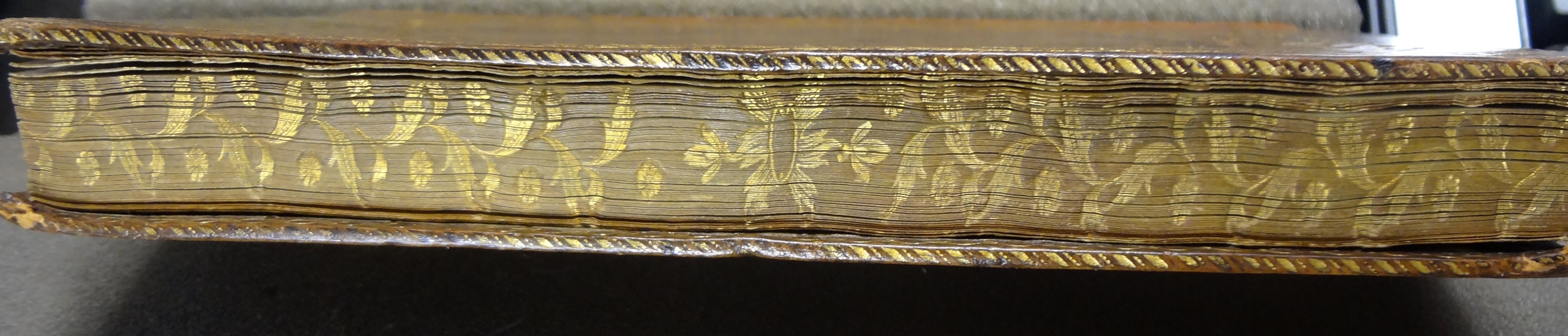 TypBP.D86MJ foreedge