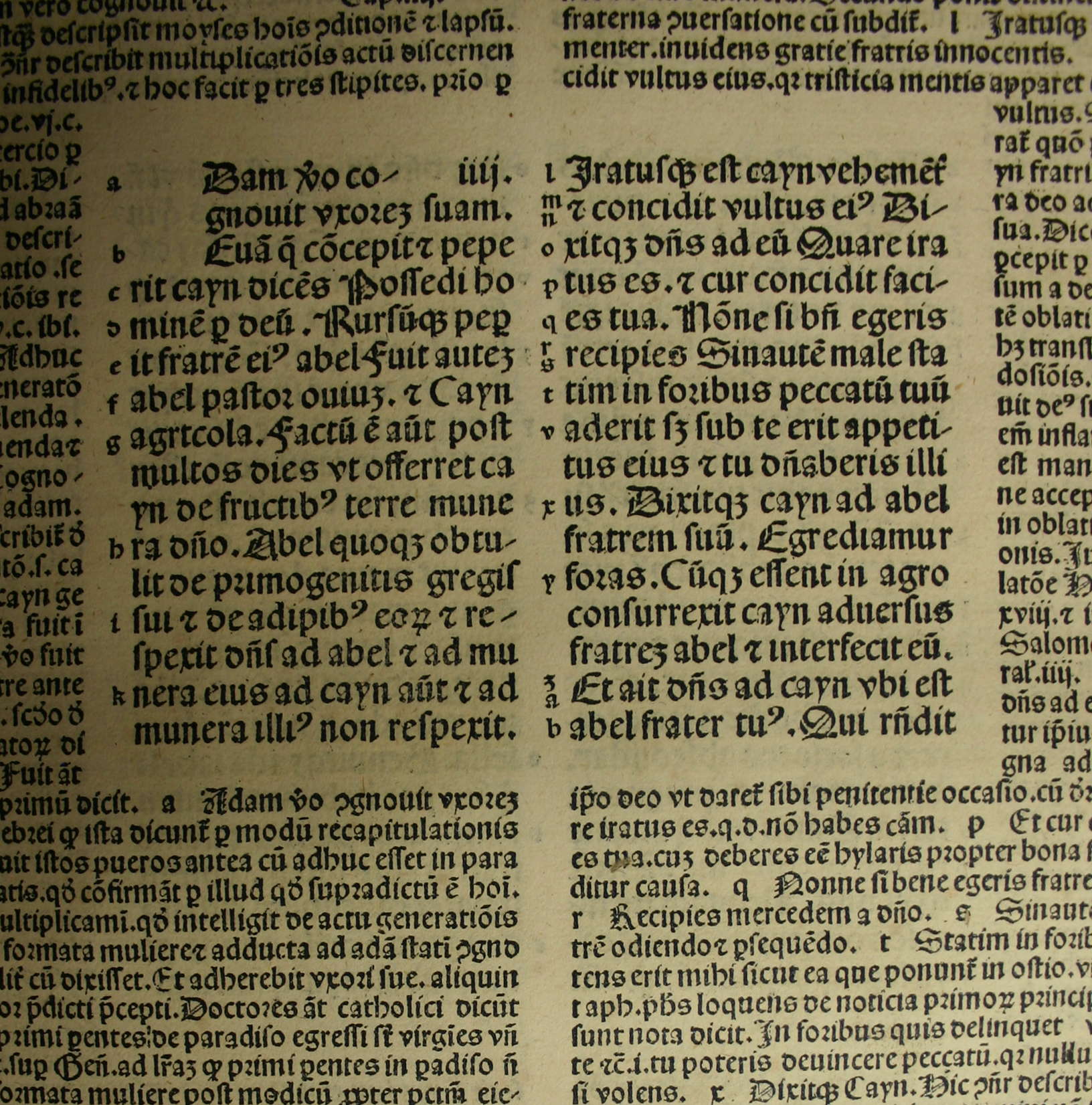 ghf34h(2)-text