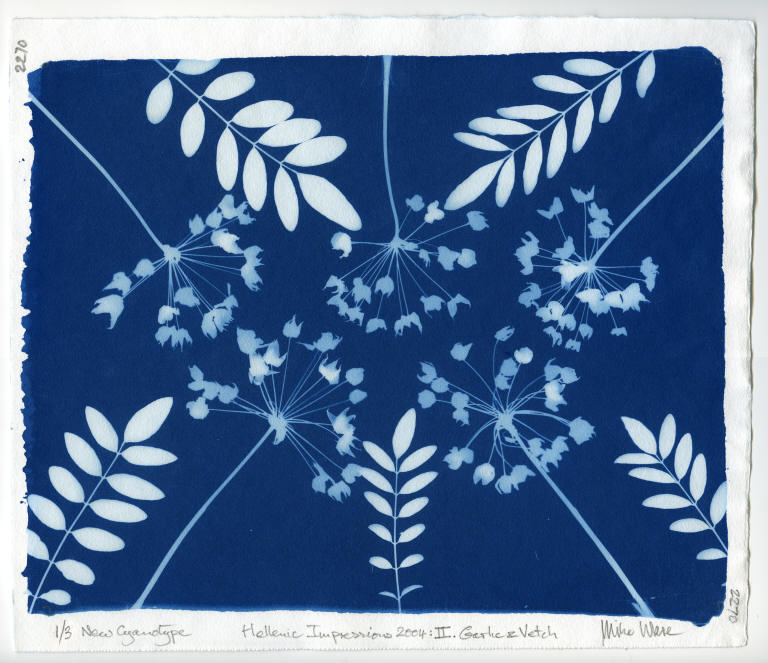 mike-ware-cyanotype-2.jpg