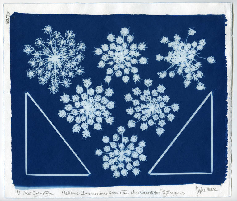 mike-ware-cyanotype-5.jpg