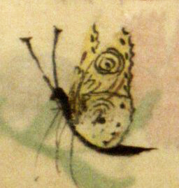 book of hours butterfly
