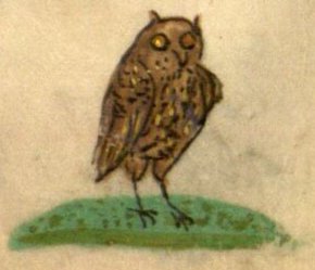 book of hours owl