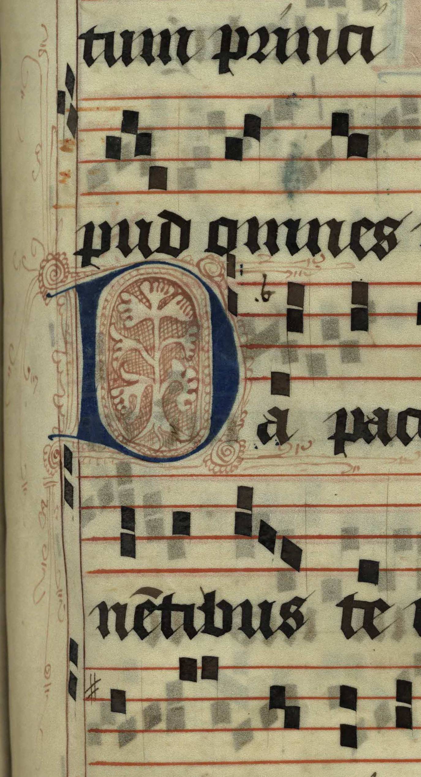 Pen decorated initial 'D' with tree from p. 351 of a 15th century Gradual (St Andrews msM2148.G7)