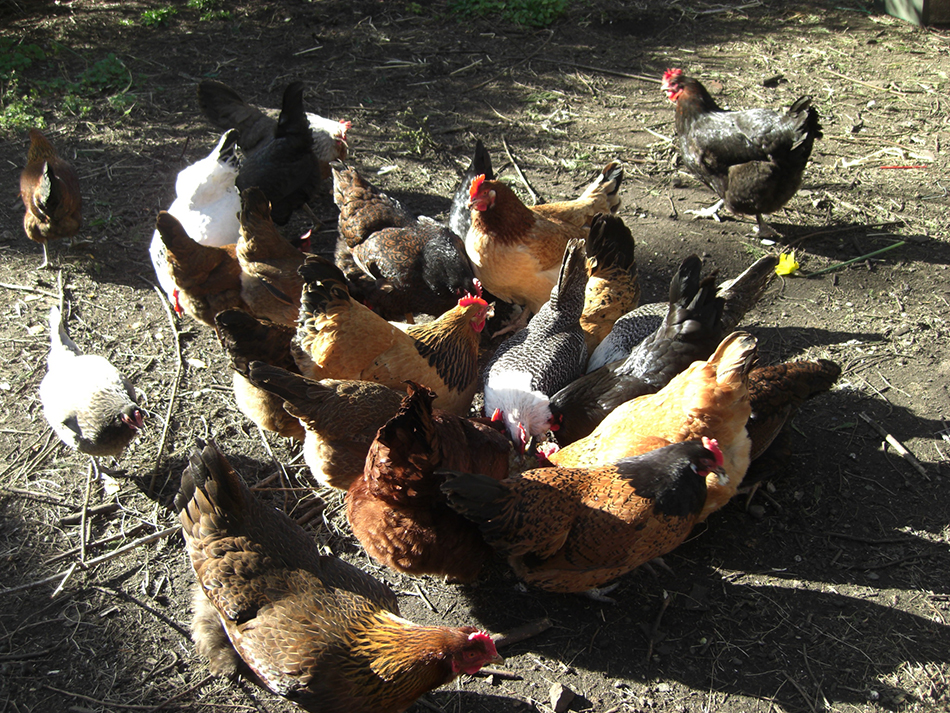 Scrum to get leftovers