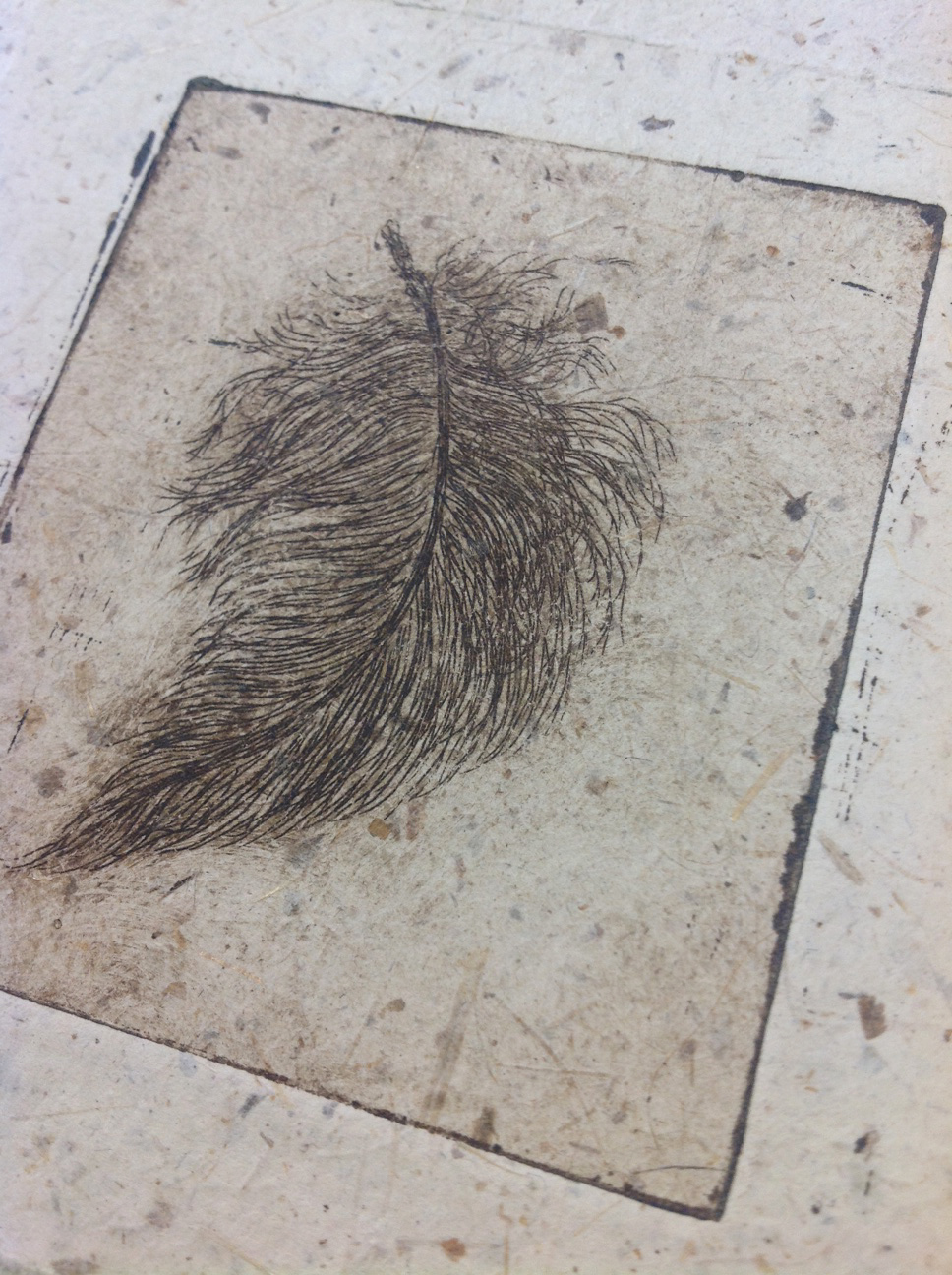 A feather from one of Johnstone's books.