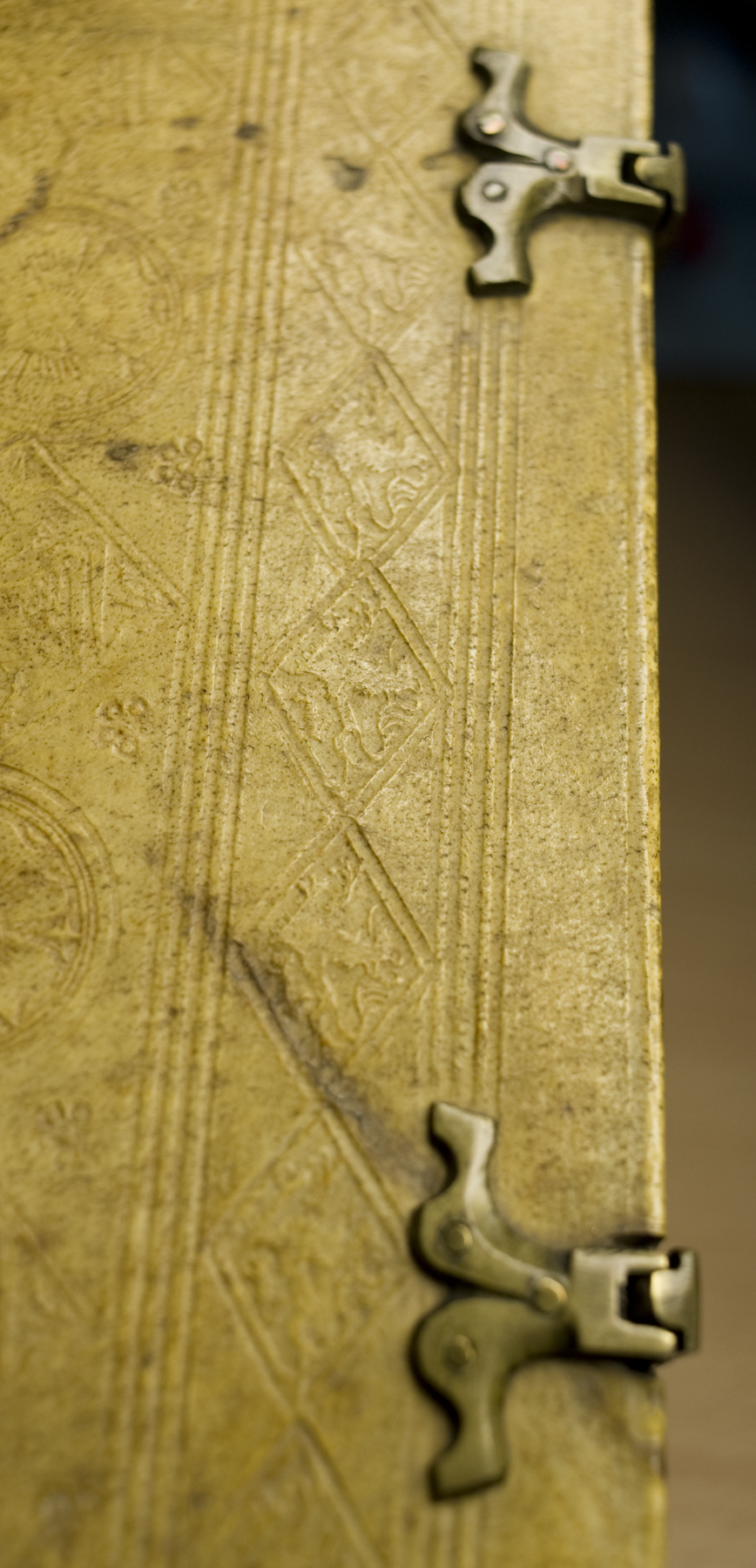 Detail of the griffin rampant in a single, diamond-shaped border blind stamped tool on TypIP.A89BA