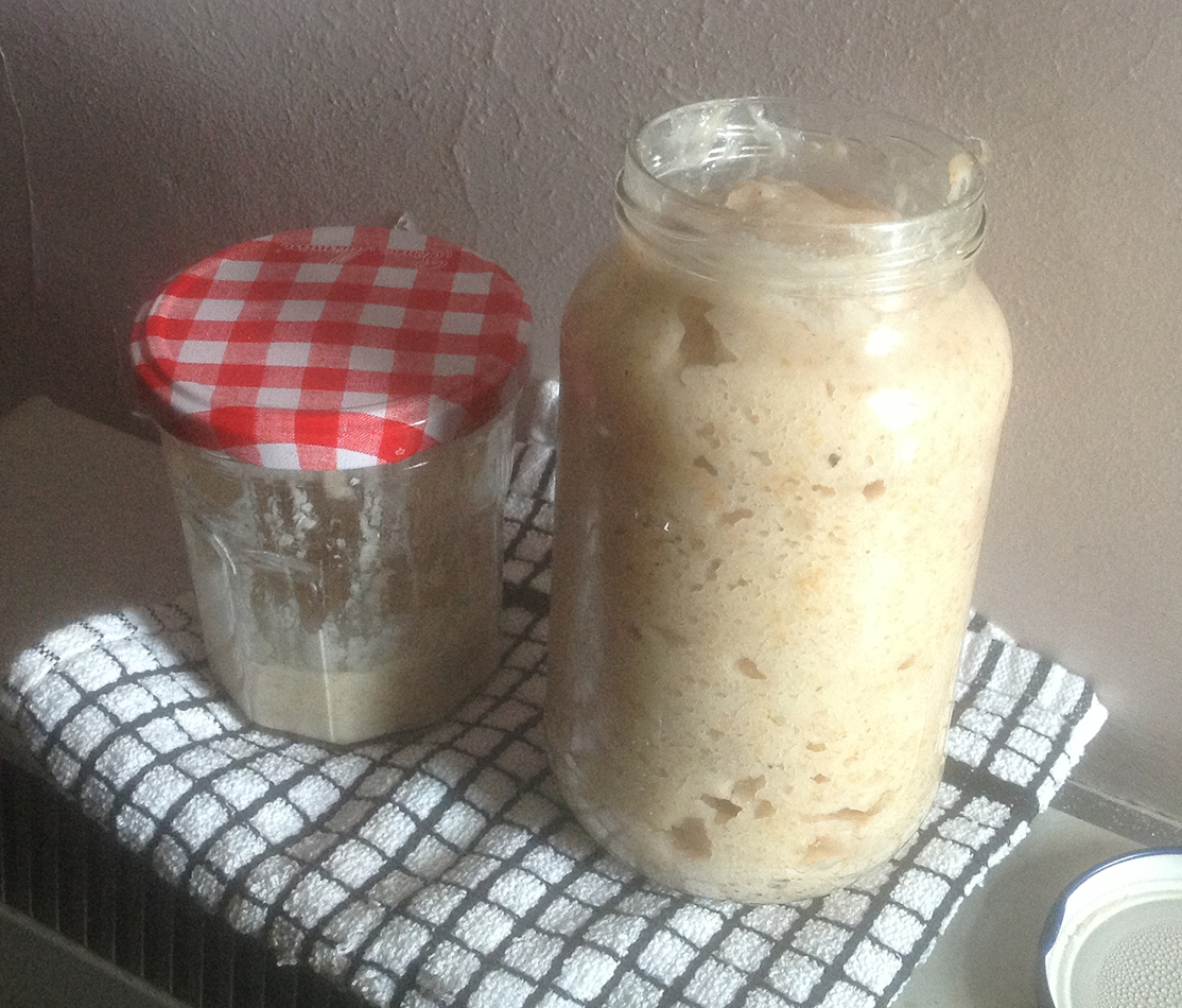 starter_after_fermentation_1