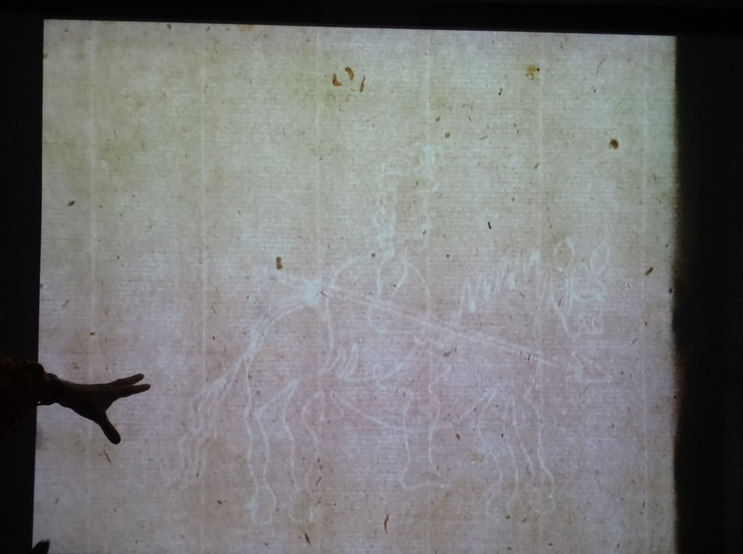 Harris pointing out a Spanish watermark on a projected fly-leaf