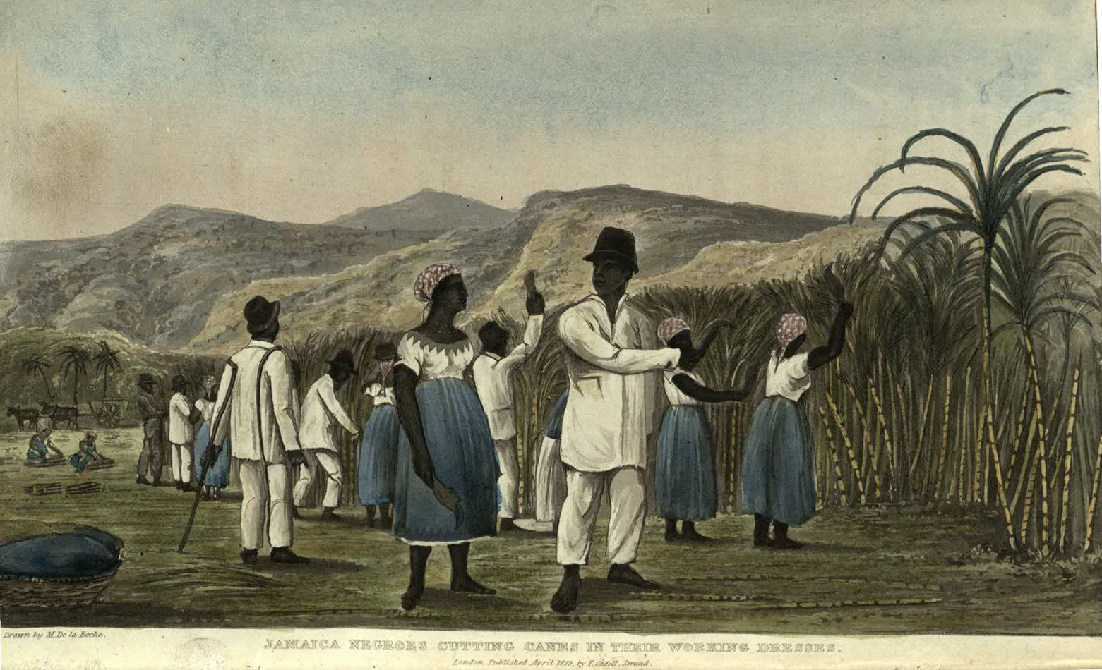 Pic 6 HT892 P2 E25_1