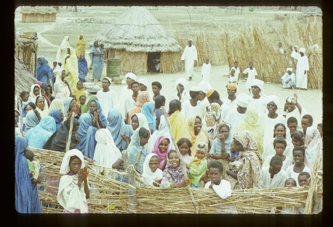 The Berti Tribe 4