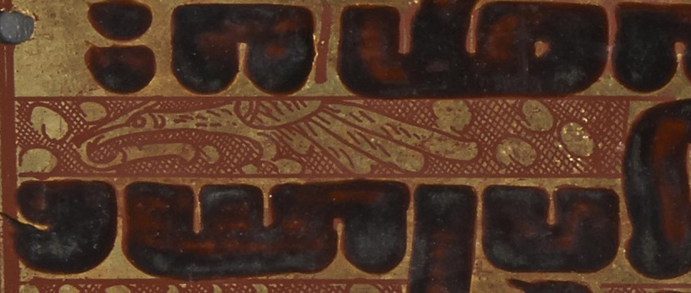 Bird detail_1