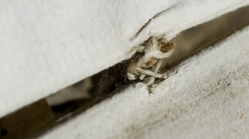 Detail of the tying-in of the manuscript fragment into the book’s structure on TypFL.B47GS.