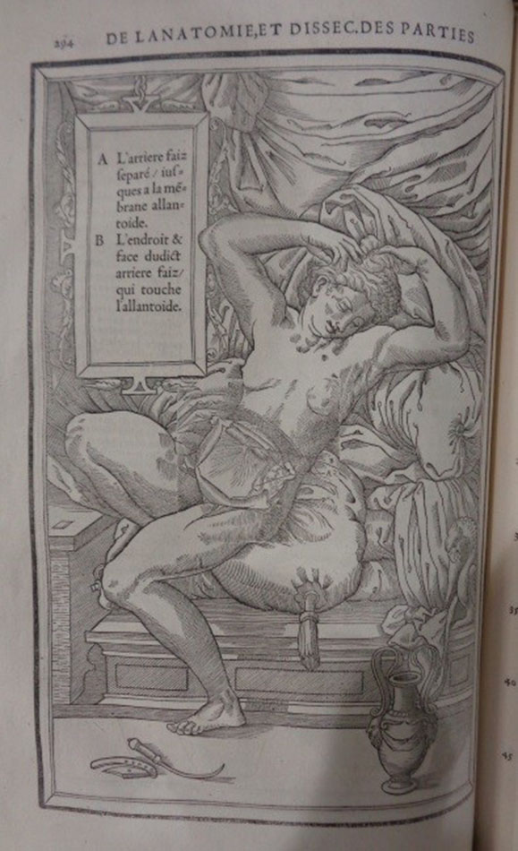 Image 7_1