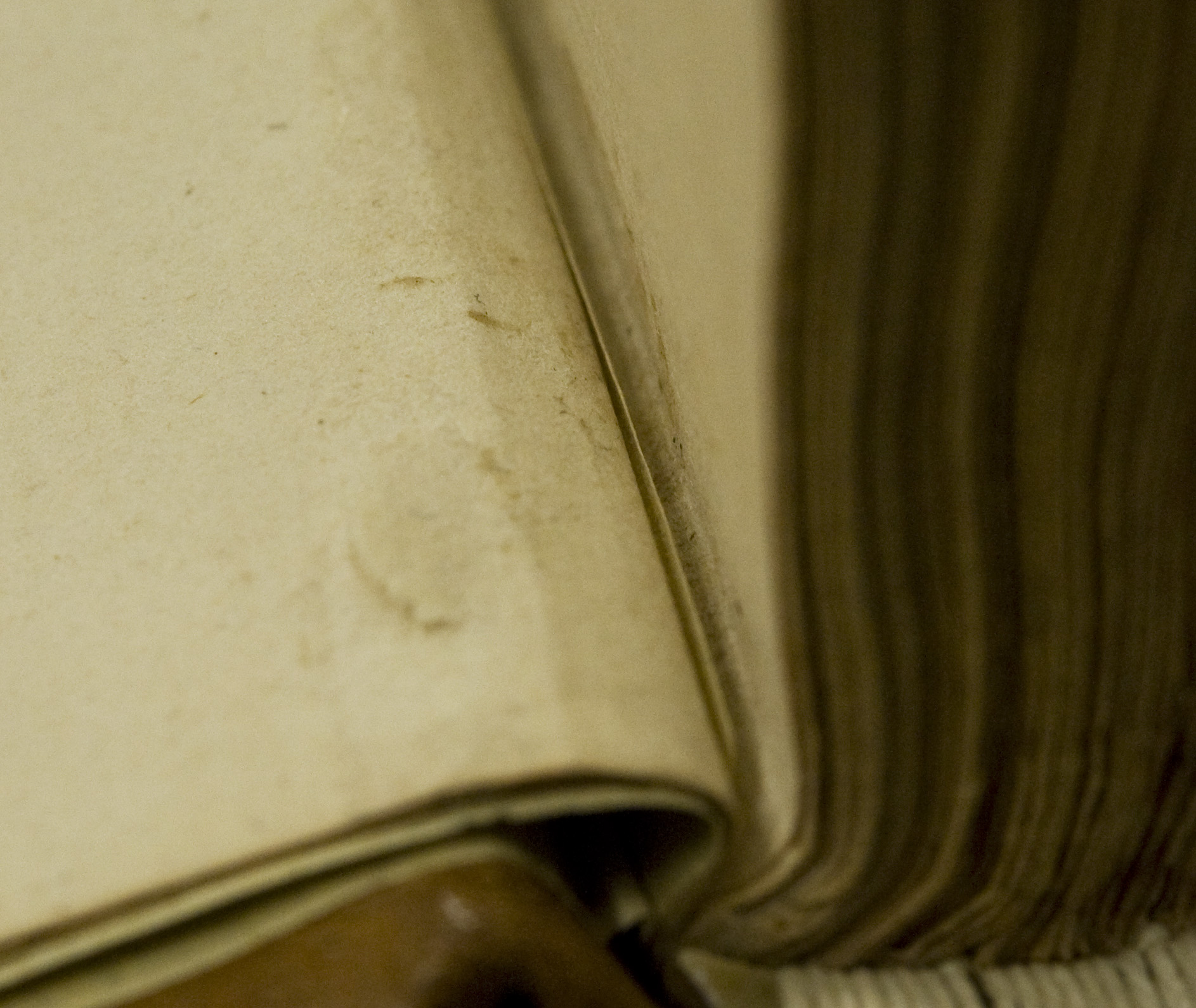 The stub of the cancel title page.