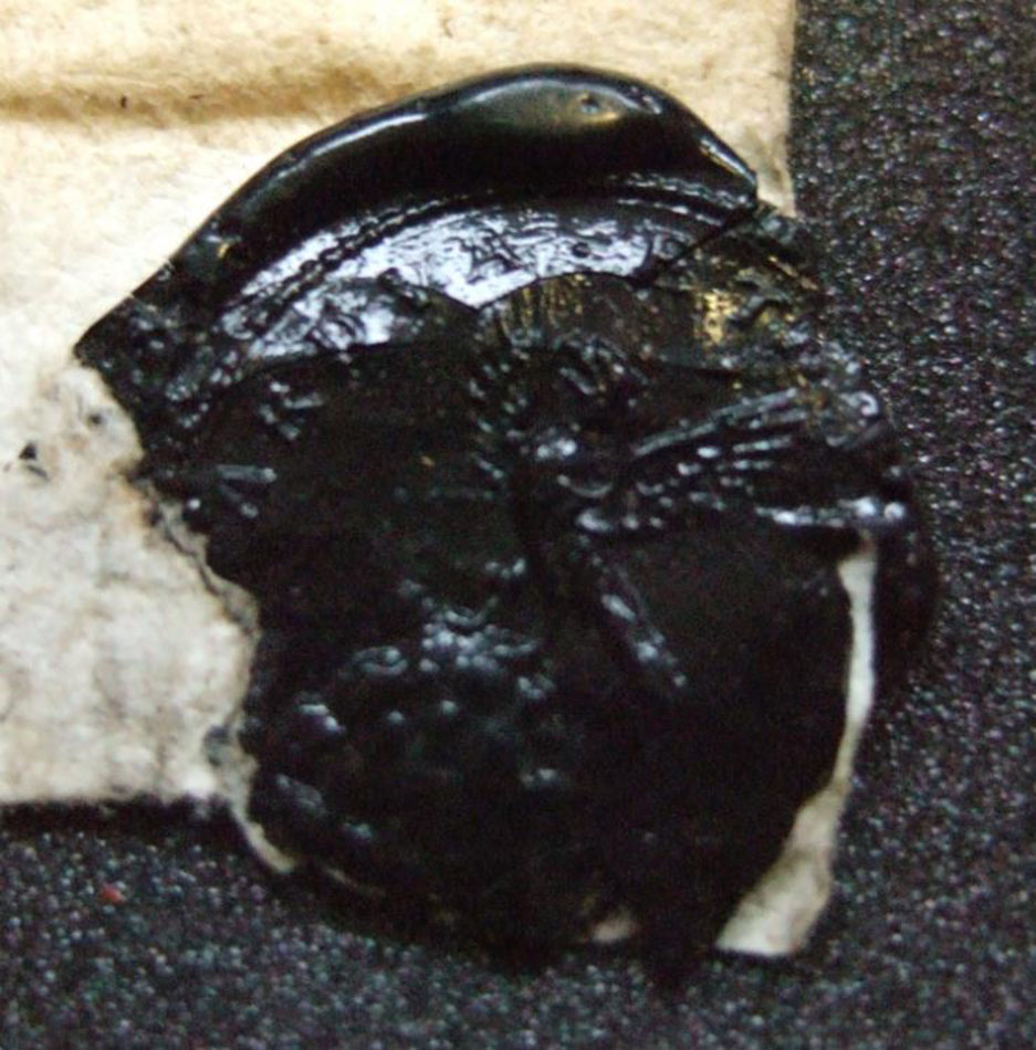 George's armorial seal: an eagle standing on a rock with the motto firma et ardua, Latin for “strong and high” (msdep75/3/3/9).