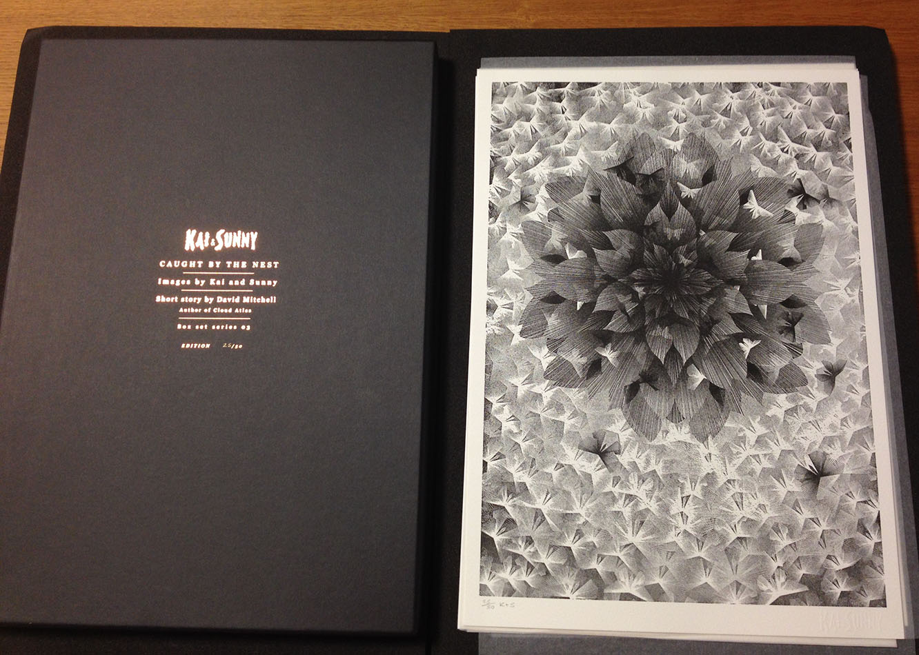 ‘Caught By The Nest’ by Kai and Sunny, with the permission of Kai and Sunny