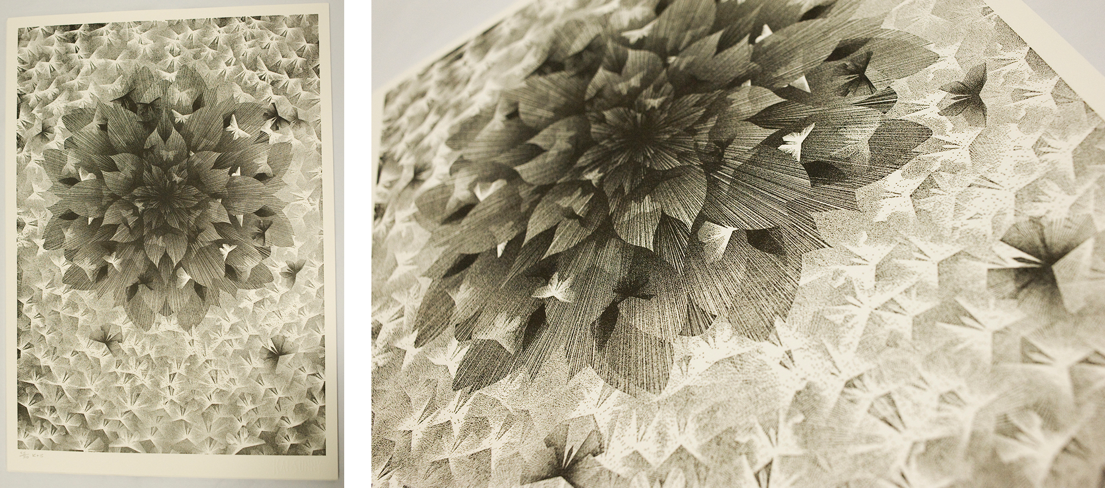 The first image, with permission of Kai and Sunny