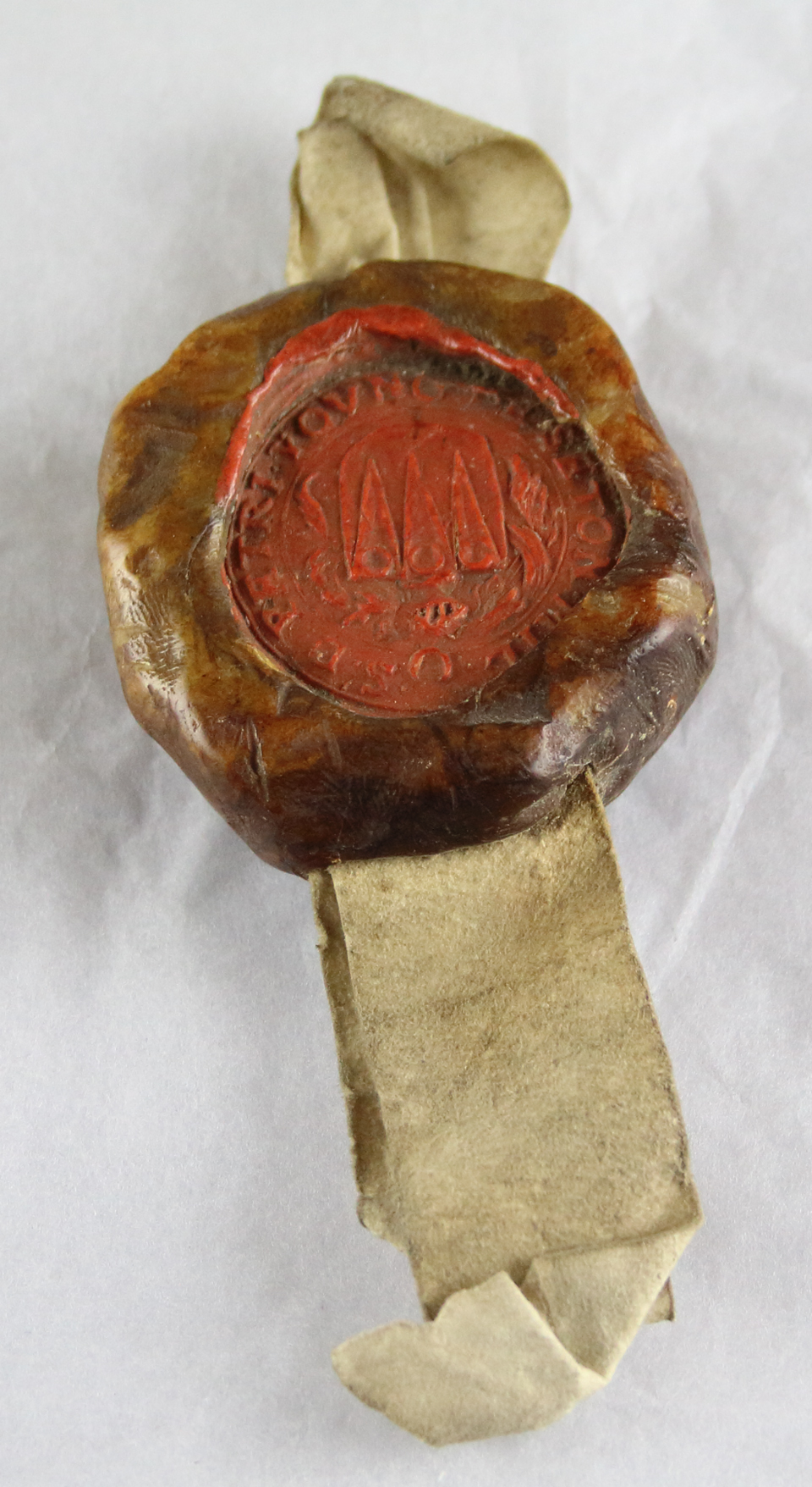 seal.3