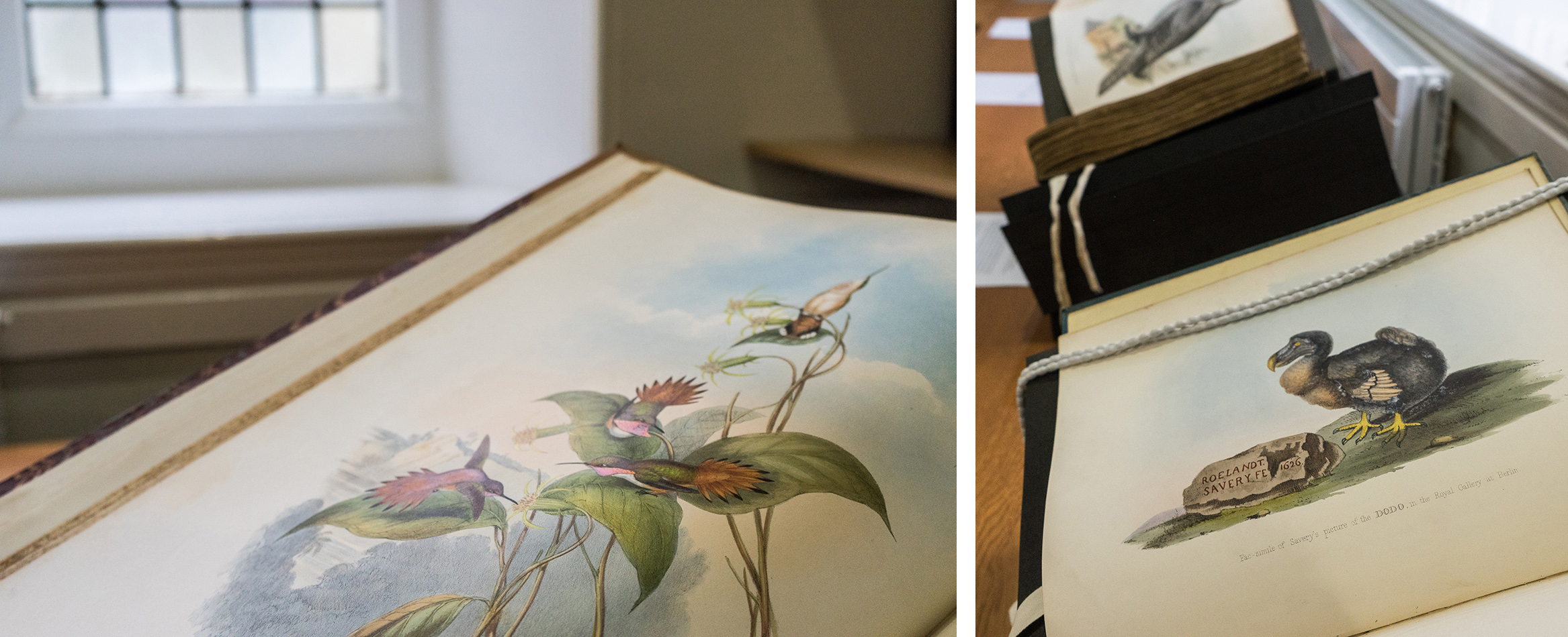 Book images_1