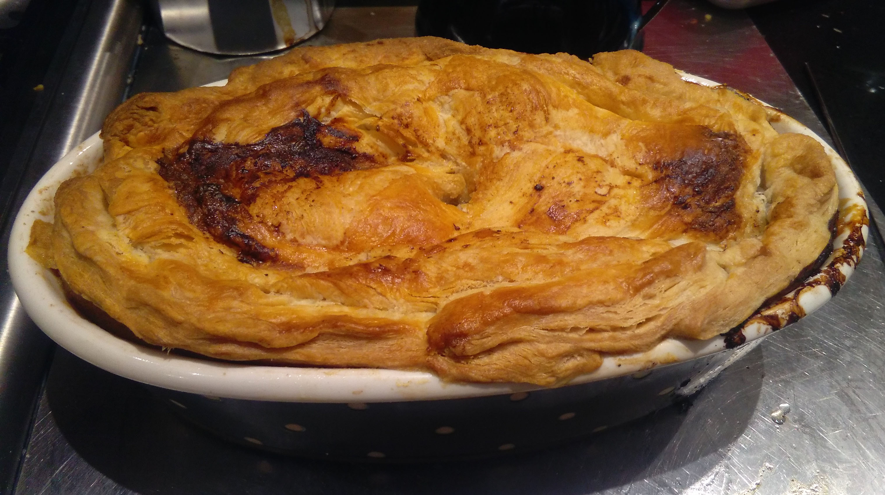 Venison pasty