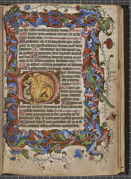image of illuminated border and initial on manuscript psalter, showing leaves, bell-shaped flowers and birds in green, blue, pink and gold