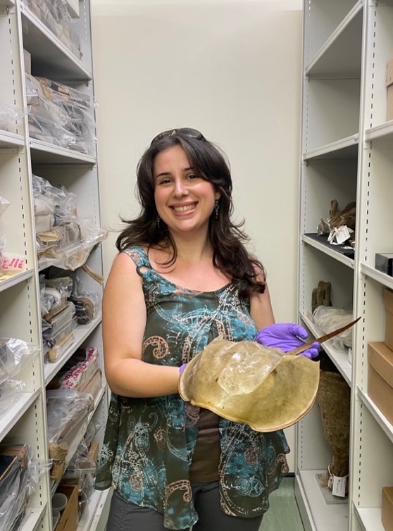 A student smiling at the camera while holding a horseshoe crab specimen.